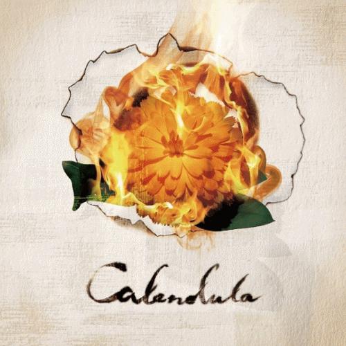 A Crowd Of Rebellion : Calendula